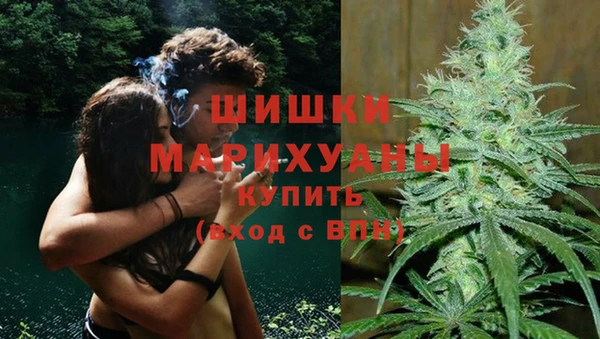 метадон Вяземский