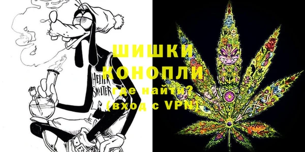 дживик Вязьма