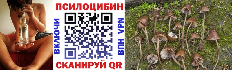 hydra ссылка Дно Псилоцибиновые грибы GOLDEN TEACHER дарнет шоп